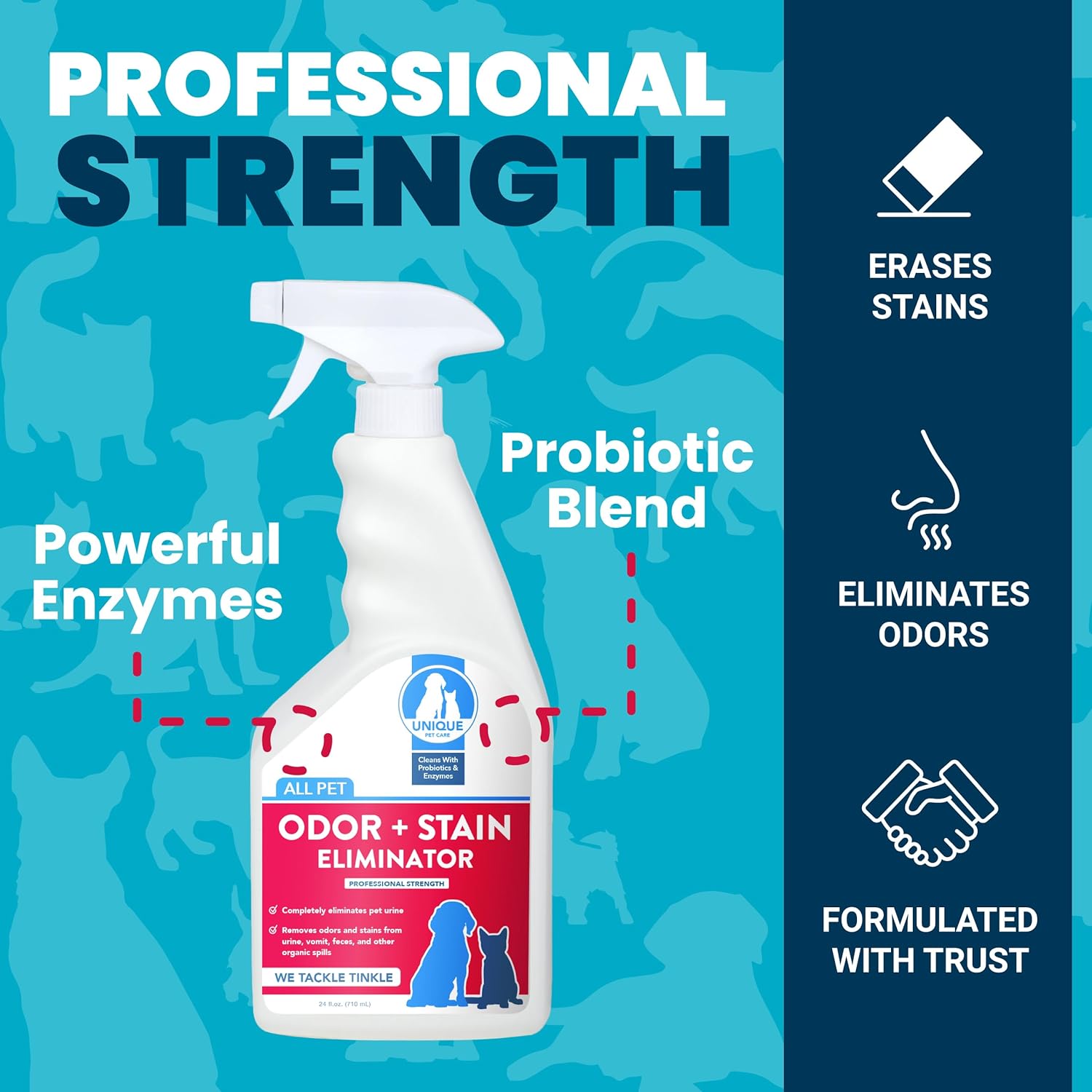 Best Pet Stain & Odor Remover